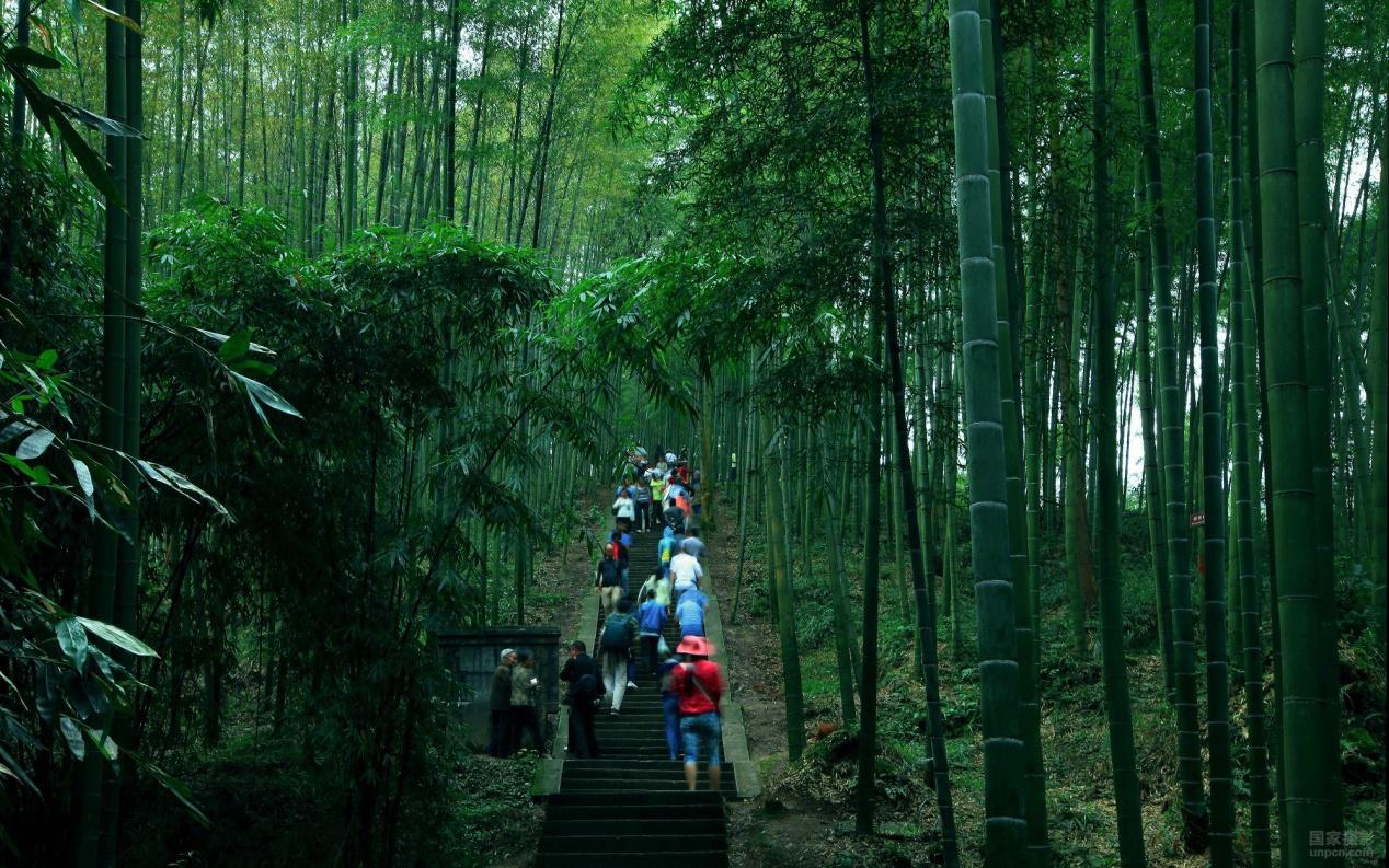 终于我院编制的《老厂竹海旅游景区建设发展规划》于今日顺利通过